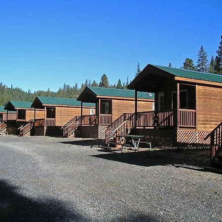 Yosemite Lakes Cabin 37 Harden Flat Ngoại thất bức ảnh