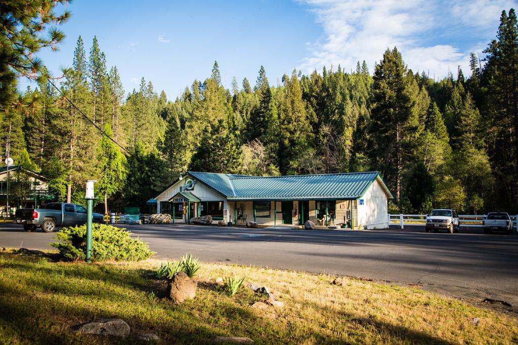 Yosemite Lakes Cabin 37 Harden Flat Ngoại thất bức ảnh