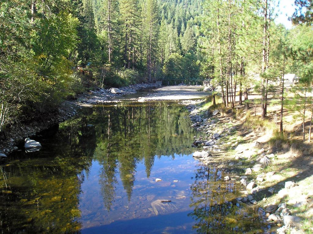 Yosemite Lakes Cabin 37 Harden Flat Ngoại thất bức ảnh